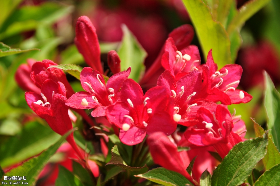 DSC_6933.JPG