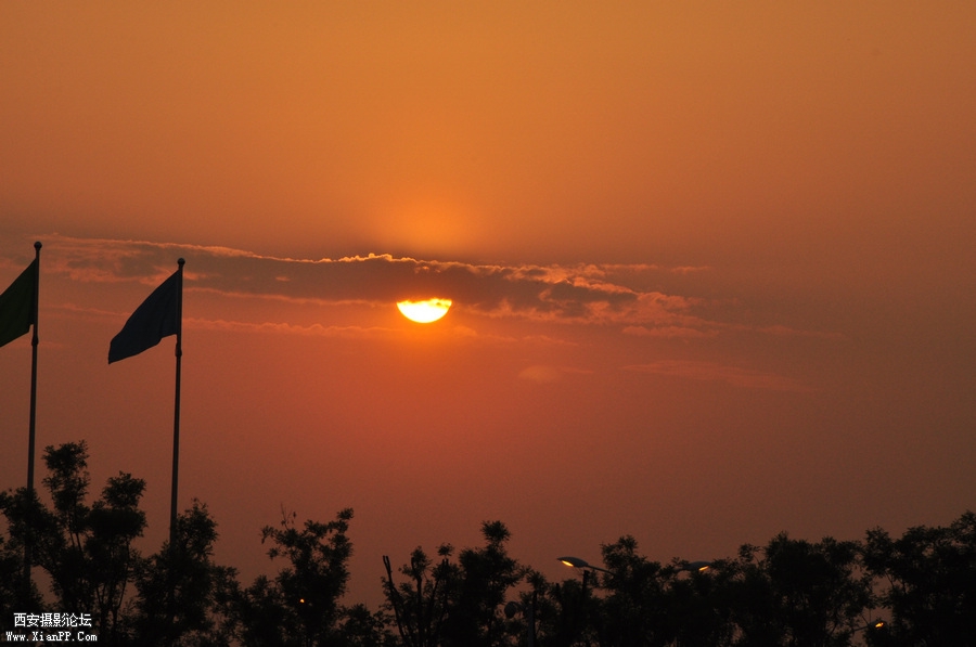 DSC_6615.JPG