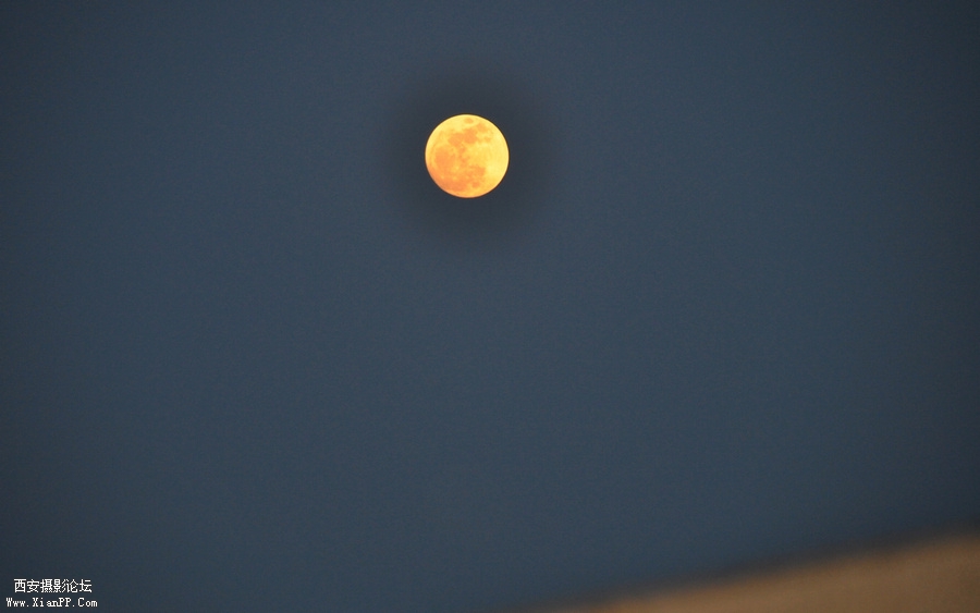 DSC_6668.JPG