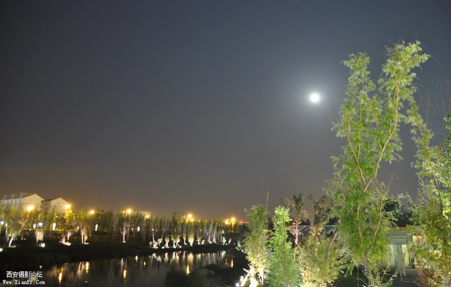 DSC_6722.JPG