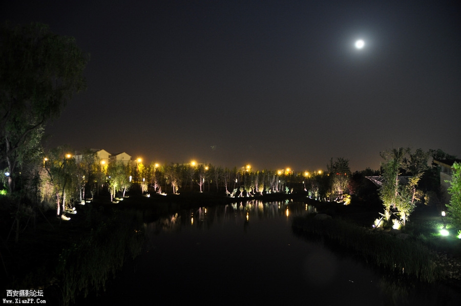 DSC_6724.JPG