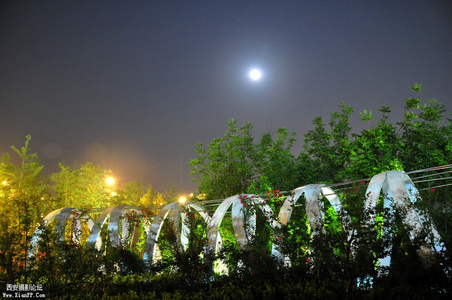 DSC_6740.JPG