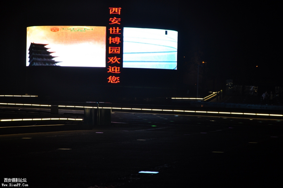 DSC_6780.JPG