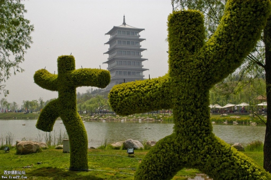 生命运动.jpg
