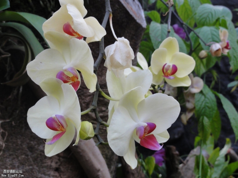 DSC01314.jpg