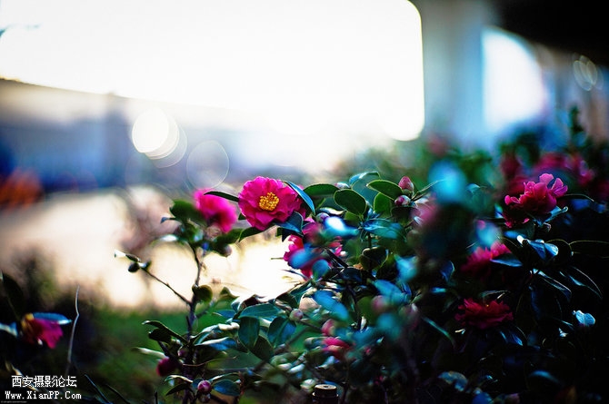 41810218nbf543182f0be&690.jpg