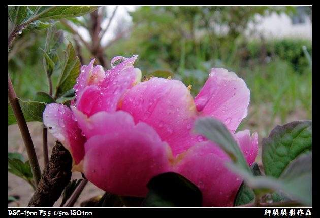 DSC00743空中芭蕾.JPG