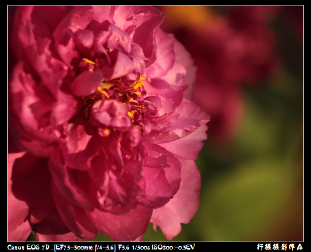 IMG_4247空中芭蕾.JPG