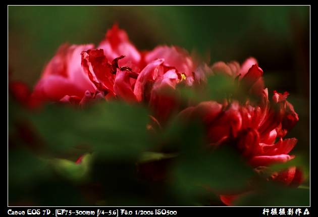 IMG_4265空中芭蕾.JPG