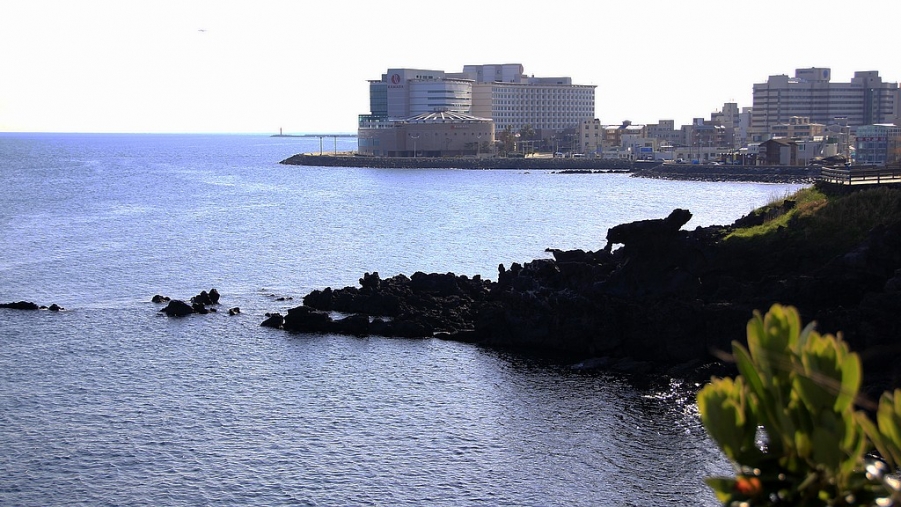 济州 066A.jpg