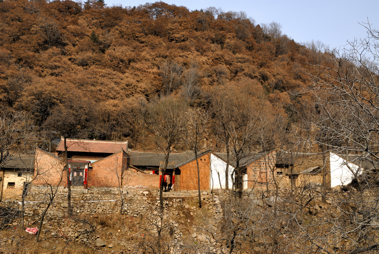 _DSC0003.jpg