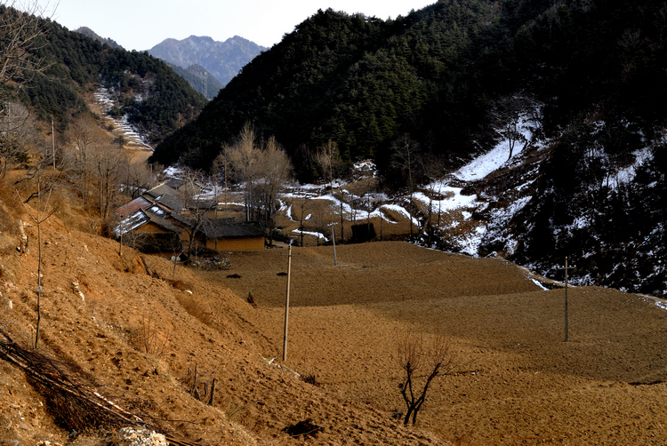 _DSC0063.jpg