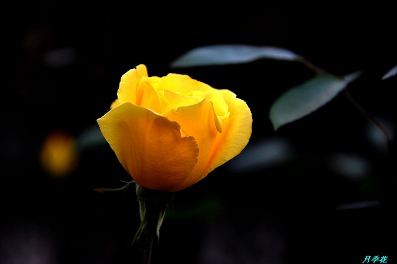 0SC_3334.jpg