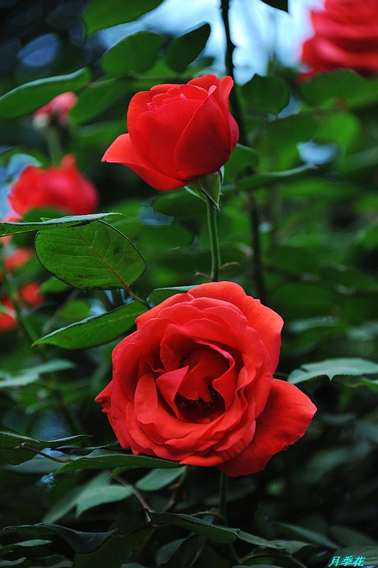 0SC_3428.jpg