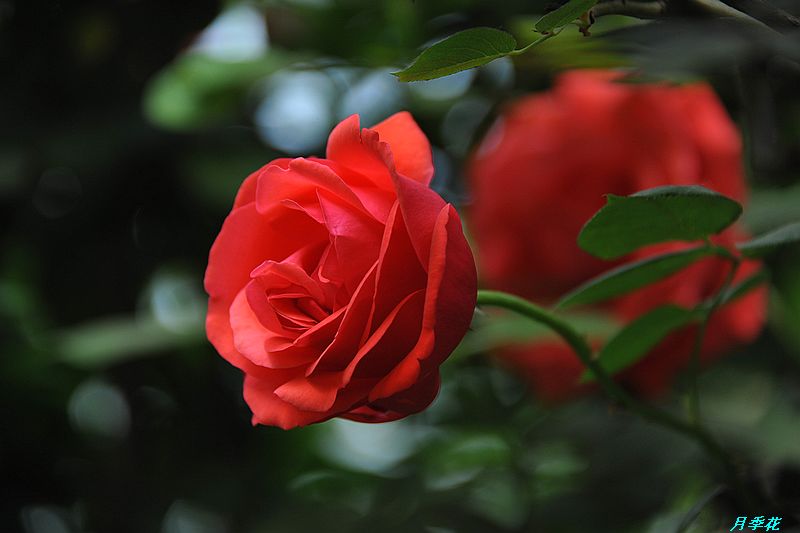 0SC_3439.jpg