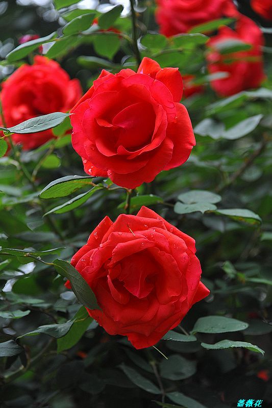 0SC_3625.jpg