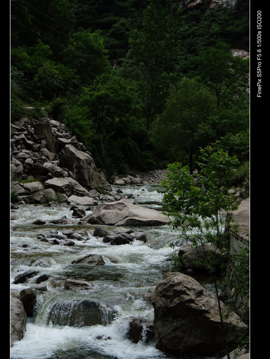 DSCF0125.JPG