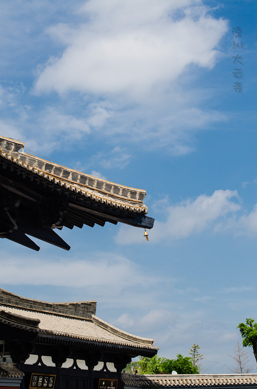 _DSC3592_副本.jpg