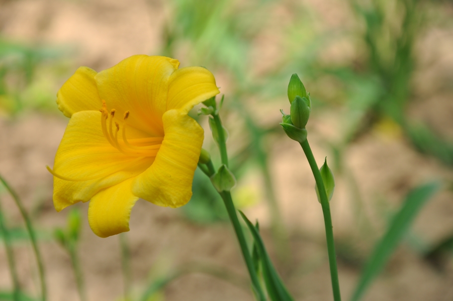 DSC_8077.JPG