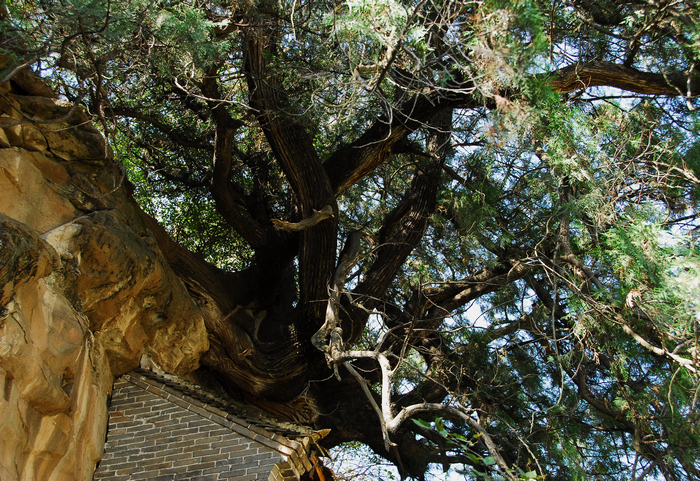 DSC_0057.JPG