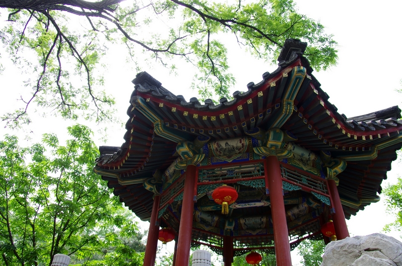 IMGP7089.JPG