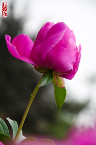 DSC_1399.jpg