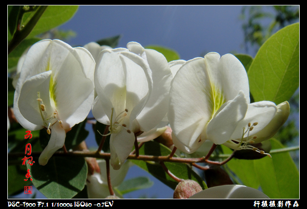 DSC00791.JPG