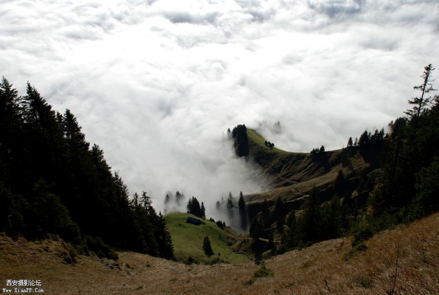 DSC_0623.JPG