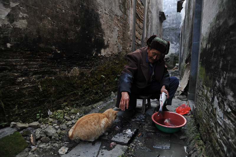 爷爷的爱猫.jpg