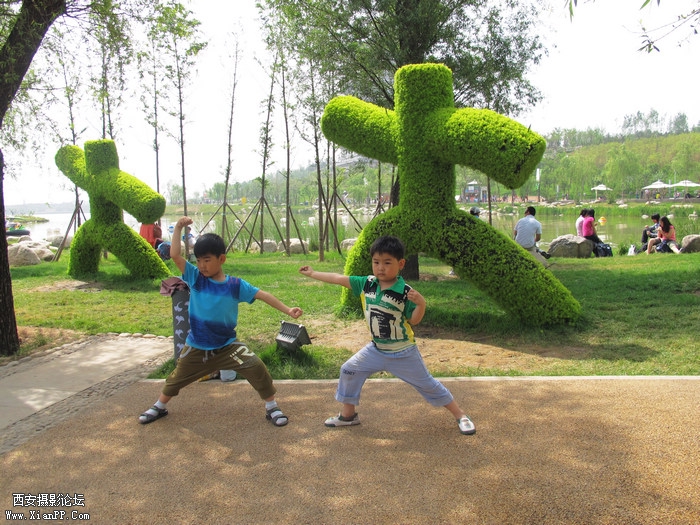 IMG_6228ab.jpg