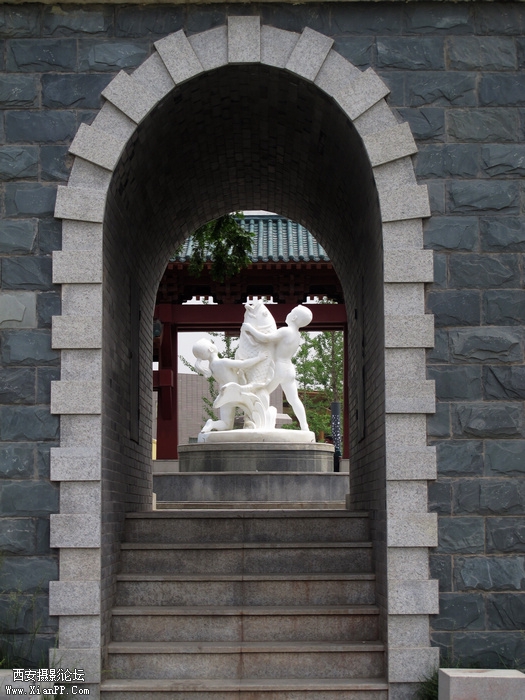 IMG_6263ab.jpg
