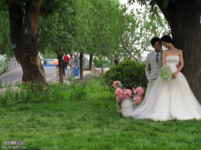 IMG_6435ab.jpg