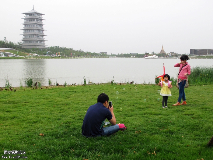 IMG_6484ab.jpg