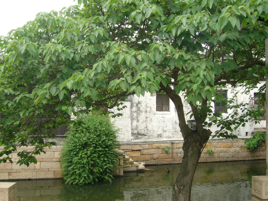 P1030363.JPG
