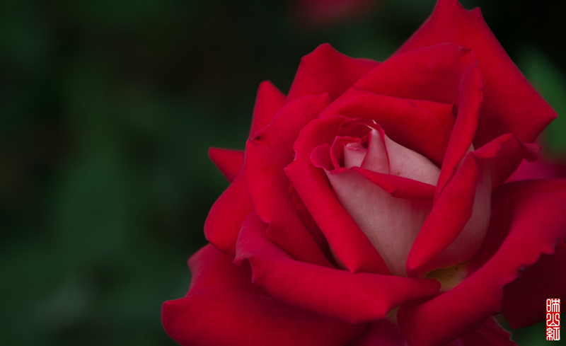 DSC_1856.jpg