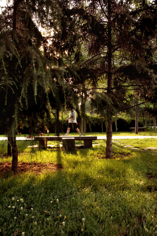 DPP_0007.JPG