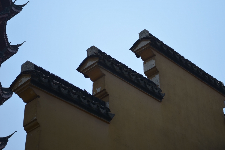 DSC_0518.jpg