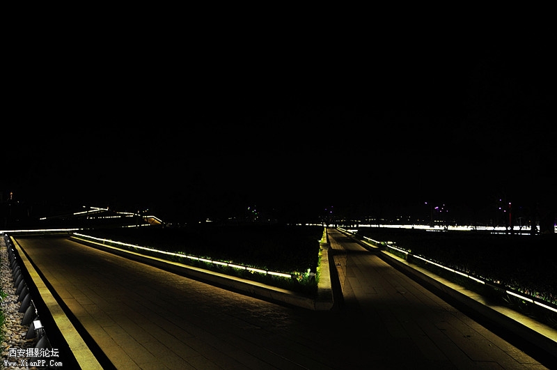 DSC_0119.jpg