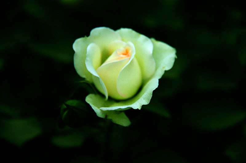 IMG_6610_副本.jpg
