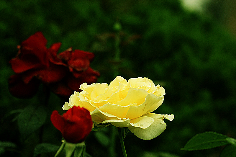 IMG_6716_副本.jpg