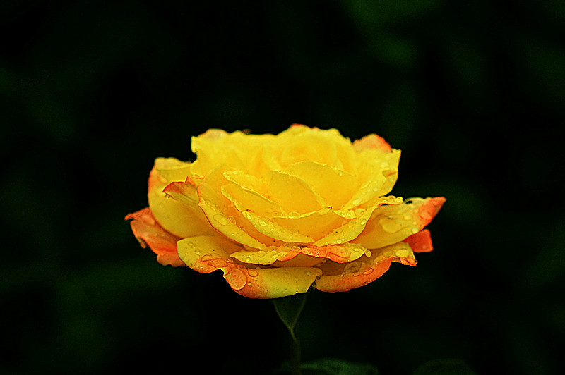 IMG_6723_副本.jpg