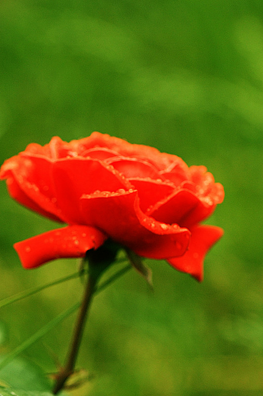 IMG_6709_副本.jpg