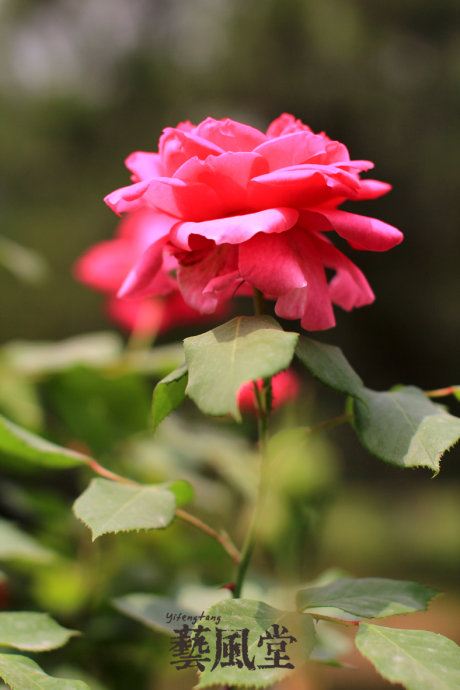 a0e8fb5cgbf07a74126d8&690.jpeg