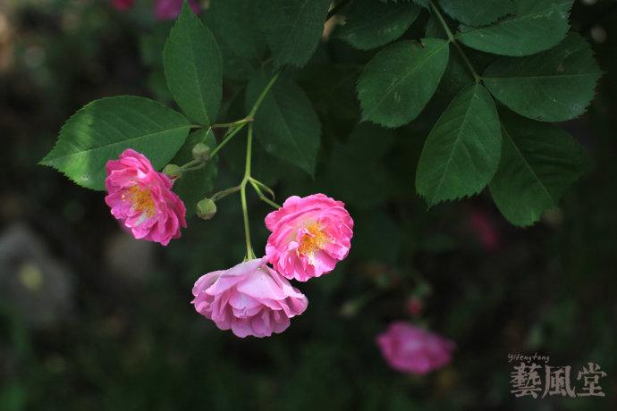 a0e8fb5cgbf094c675090&690.jpeg