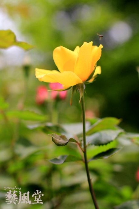 a0e8fb5cgbf0757d82462&690.jpeg