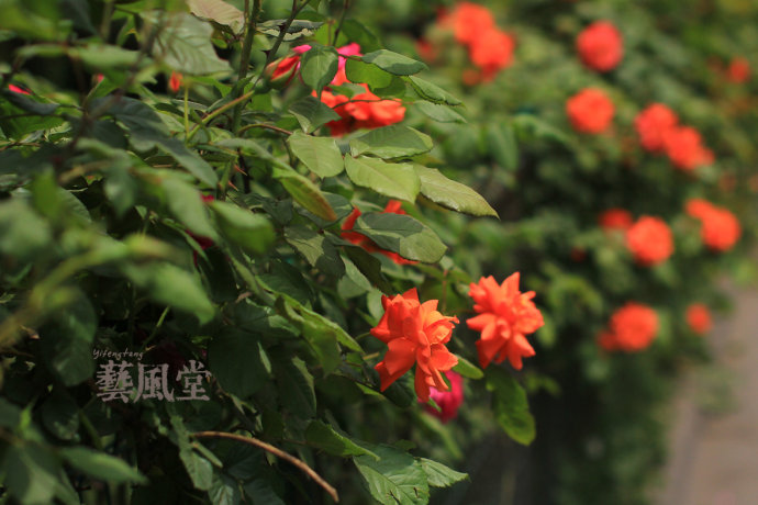 a0e8fb5cgbf0897982fa7&690.jpeg
