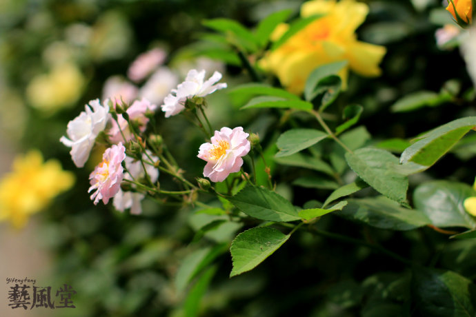 a0e8fb5cgbf07970661be&690.jpeg