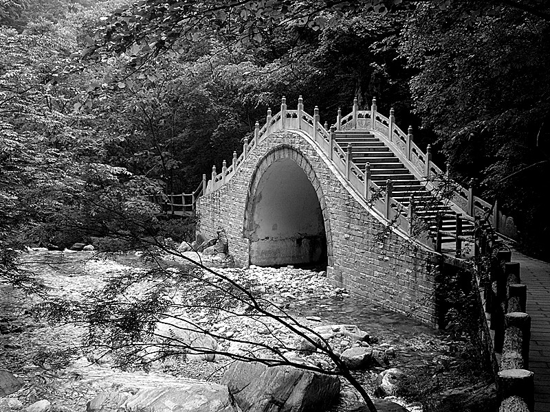 P1060203_副本.jpg