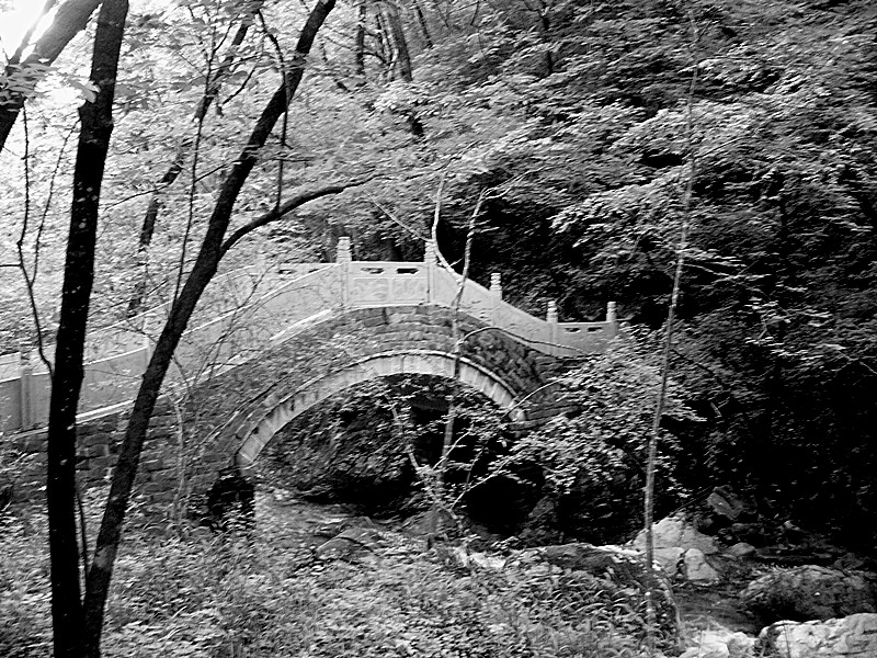 P1060183_副本.jpg