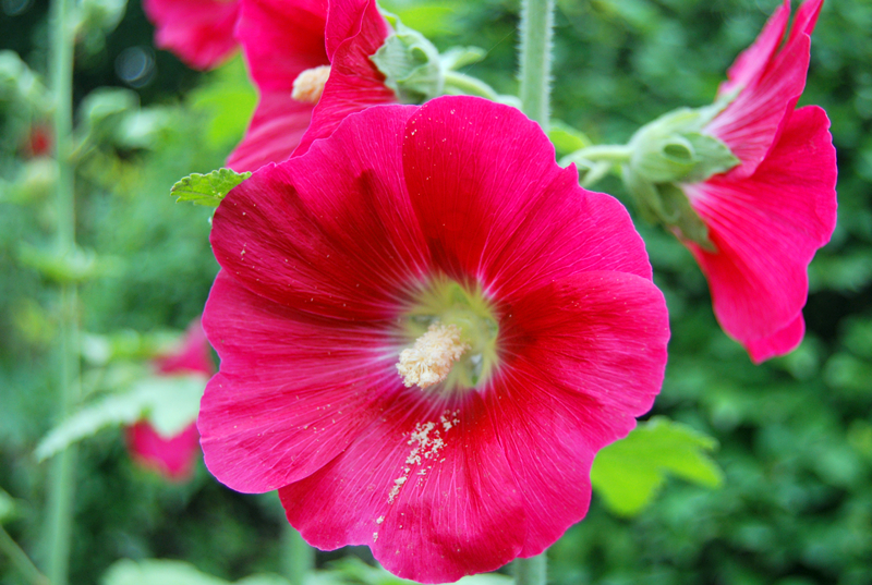 DSC_2712_副本.jpg